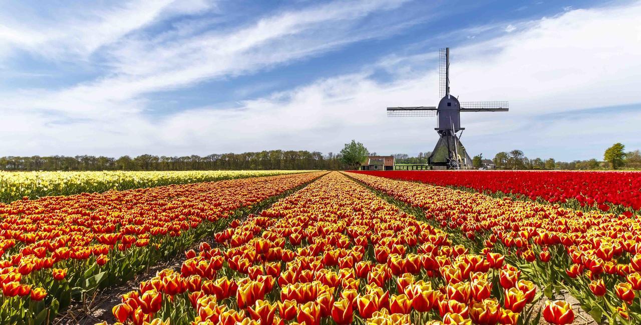 Amsterdam Roof Terrace B&B 외부 사진